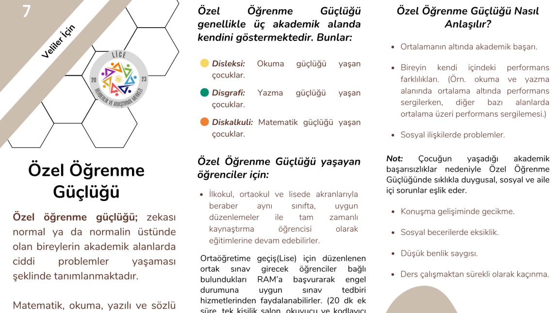 Özel Öğrenme Güçlüğü ile İlgili Velilerimize Yönelik Bilgilendirme Broşürümüz