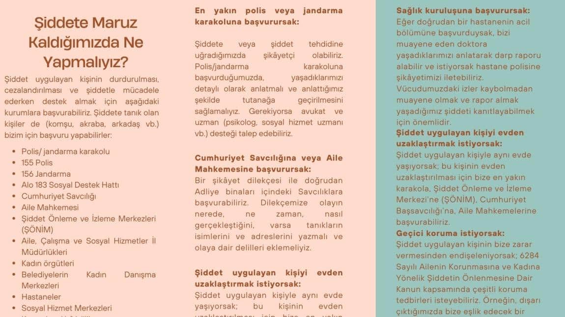 Kadına Yönelik Şiddeti Önlemeye yönelik Yayın
